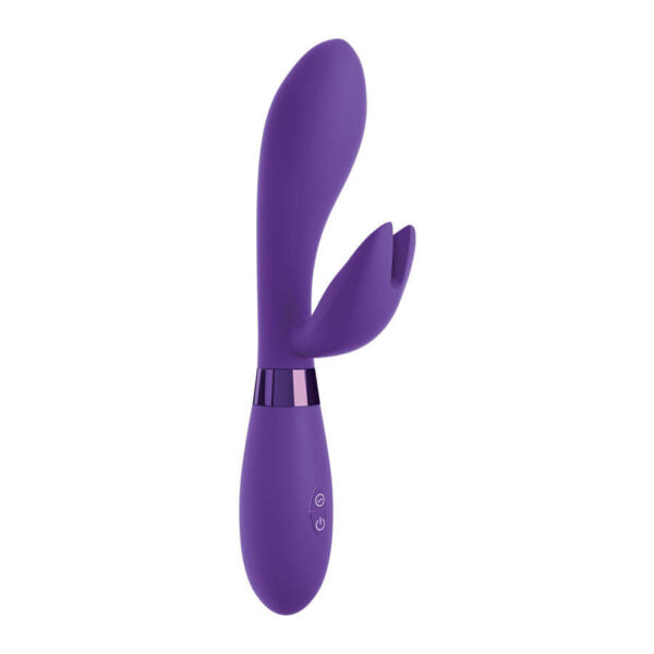 VIBRO LAPIN VIOLET SUBMERSIBLE ET USB Godes rabbit rechargeables 38 € sur AnVy.fr, le loveshop engagé