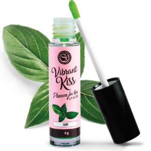 GLOSS ÉROTIQUE VIBRANT GOÛT MENTHE - SECRETPLAY Améliorer le sexe oral 8 € sur AnVy.fr, le loveshop engagé