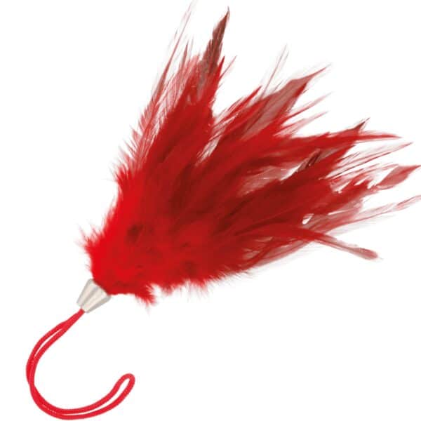 PLUMEAU BDSM ROUGE 17CM Plumeaux 14 € sur AnVy.fr, le loveshop engagé