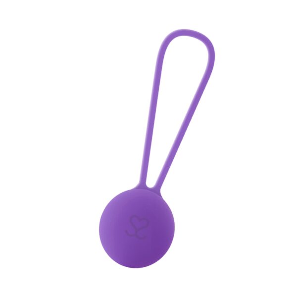 BOULE VAGINALE EN SILICONE VIOLETTE Boule chinoise simple 26 € sur AnVy.fr, le loveshop engagé