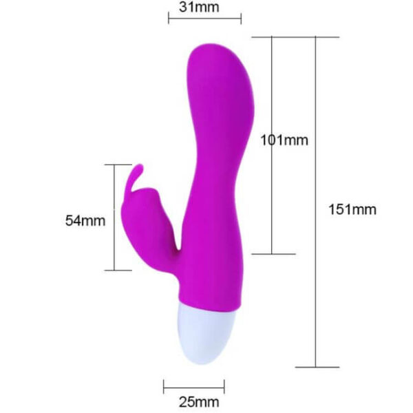 SEXTOY VIBRANT LAPIN RECHARGEABLE USB Godes rabbit rechargeables 42 € sur AnVy.fr, le loveshop engagé