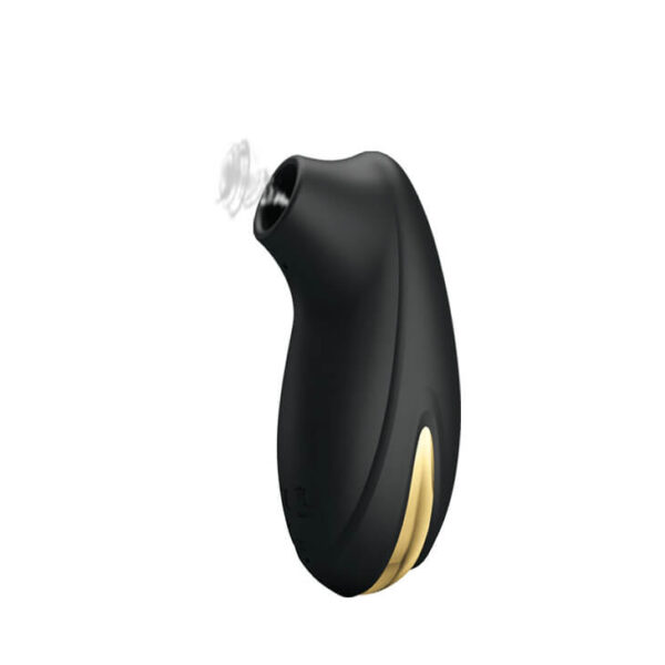 SEXTOY À SUCCION RECHARGEABLE NOIR Aspirateurs à clitoris 62 € sur AnVy.fr, le loveshop engagé