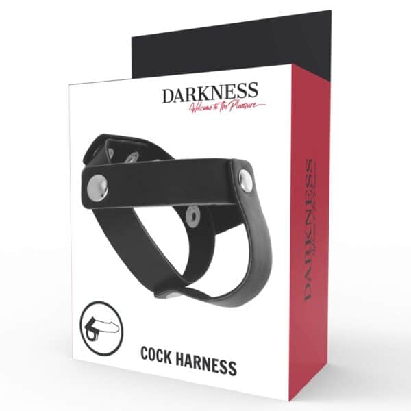 BANDE EN CUIR POUR TESTICULES DARKNESS Bondage 28 € sur AnVy.fr, le loveshop engagé