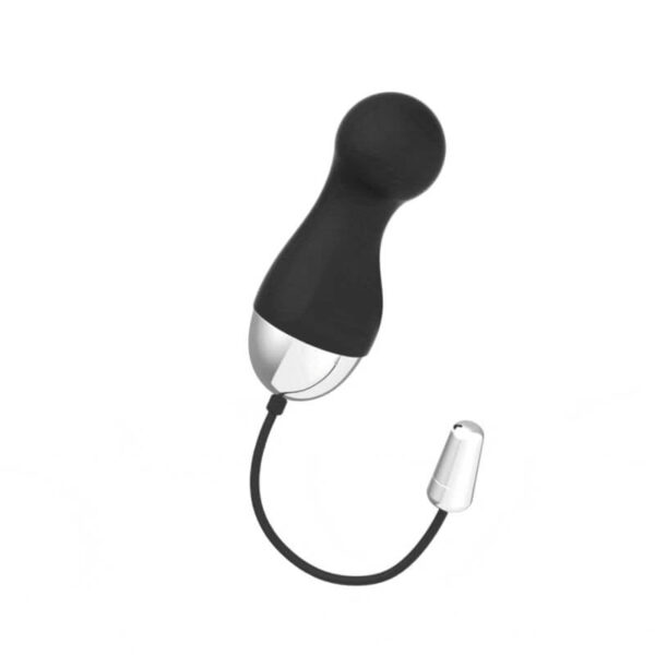 OEUF COQUIN TÉLÉCOMMANDÉ RECHARGEABLE Oeufs vibrants 50 € sur AnVy.fr, le loveshop engagé