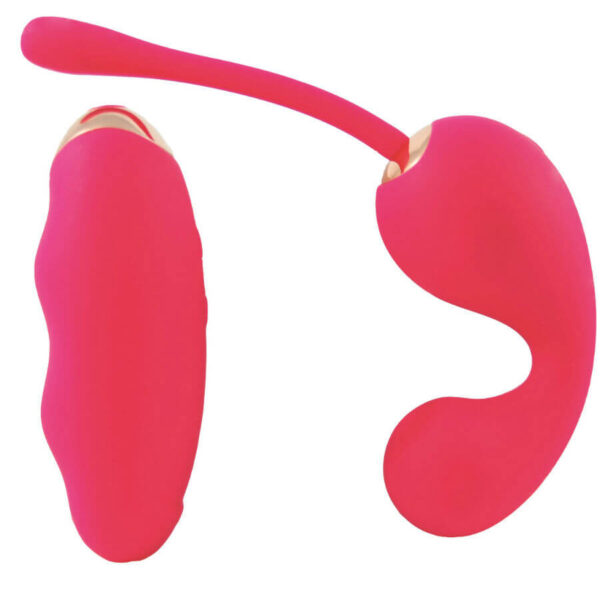 TREASURE IOWA SILICONE ROSE Oeufs coquins rechargeables 40 € sur AnVy.fr, le loveshop engagé