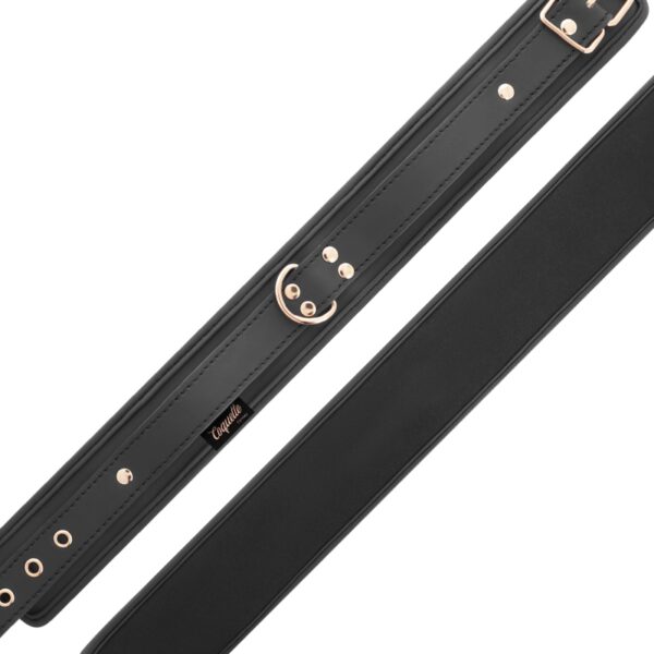 COLLIER BDSM EN CUIR VEGAN NOIR BDSM AVEC LAISSE Colliers 40 € sur AnVy.fr, le loveshop engagé